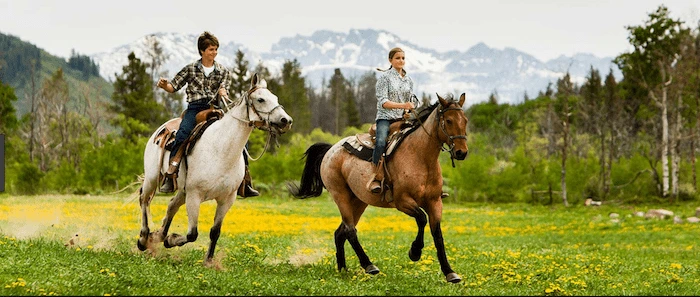 Confident plus-size woman riding Calton a horse through a field with a smile on her face.